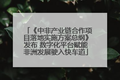 《中非产业链合作项目落地实施方案总纲》发布 数字化平台赋能非洲发展驶入快车道