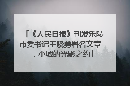 《人民日报》刊发乐陵市委书记王晓勇署名文章：小城的光影之约