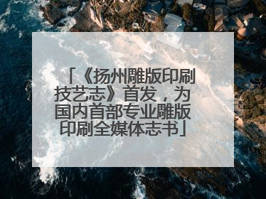 《扬州雕版印刷技艺志》首发，为国内首部专业雕版印刷全媒体志书