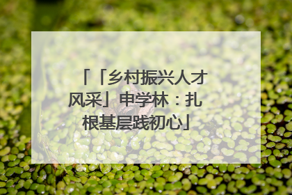 「乡村振兴人才风采」申学林：扎根基层践初心