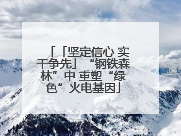 「坚定信心 实干争先」“钢铁森林”中 重塑“绿色”火电基因
