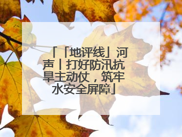 「地评线」河声丨打好防汛抗旱主动仗，筑牢水安全屏障
