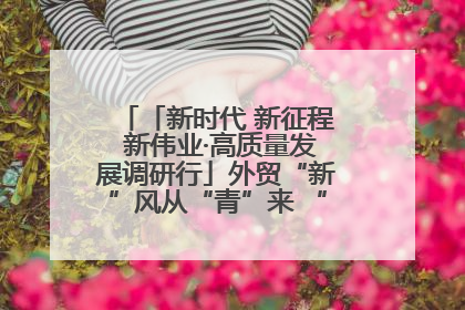 「新时代 新征程 新伟业·高质量发展调研行」外贸“新”风从“青”来 “双向奔赴”启新程