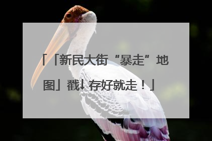 「新民大街“暴走”地图」戳↓ 存好就走！