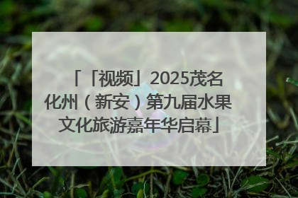 「视频」2025茂名化州（新安）第九届水果文化旅游嘉年华启幕