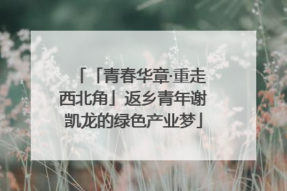 「青春华章·重走西北角」返乡青年谢凯龙的绿色产业梦
