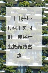 「驻村·助村」刘同旺：惠民产业拓宽致富路