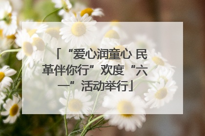 “爱心润童心 民革伴你行”欢度“六一”活动举行