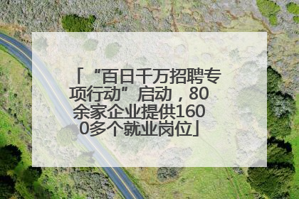 “百日千万招聘专项行动”启动，80余家企业提供1600多个就业岗位