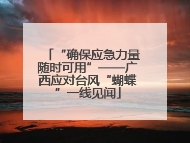“确保应急力量随时可用”——广西应对台风“蝴蝶”一线见闻
