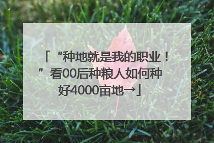 “种地就是我的职业！”看00后种粮人如何种好4000亩地→