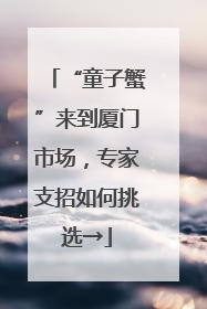 “童子蟹”来到厦门市场，专家支招如何挑选→