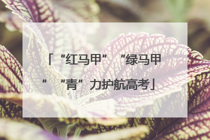 “红马甲”“绿马甲”“青”力护航高考