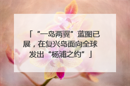 “一岛两翼”蓝图已展，在复兴岛面向全球发出“杨浦之约”