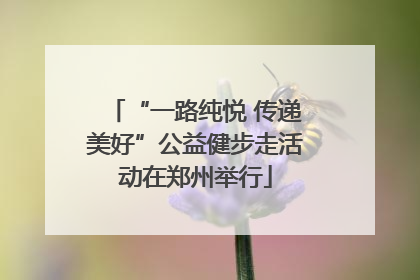 “一路纯悦 传递美好”公益健步走活动在郑州举行