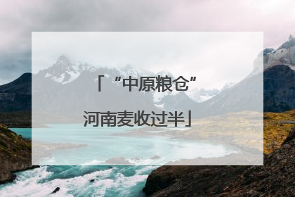 “中原粮仓”河南麦收过半