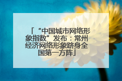 “中国城市网络形象指数”发布：常州经济网络形象跻身全国第一方阵