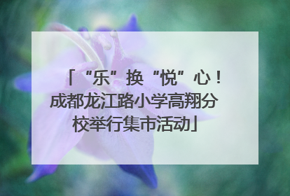 “乐”换“悦”心！成都龙江路小学高翔分校举行集市活动