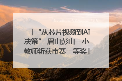 “从芯片视频到AI决策” 眉山彭山一小教师斩获市赛一等奖
