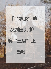“双服”助农到田头 护航“三夏”正当时