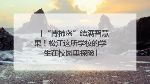 “博柿岛”结满智慧果！松江这所学校的学生在校园里探险
