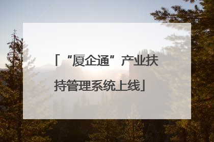 “厦企通”产业扶持管理系统上线