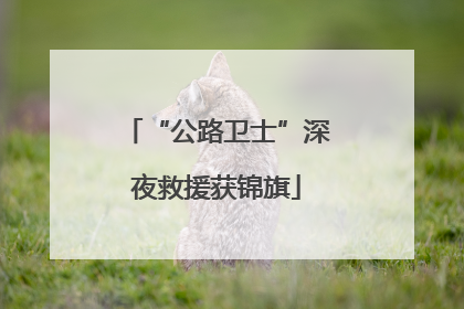 “公路卫士”深夜救援获锦旗
