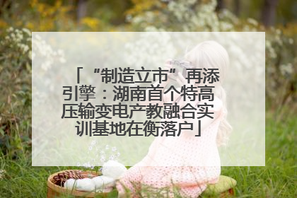 “制造立市”再添引擎：湖南首个特高压输变电产教融合实训基地在衡落户