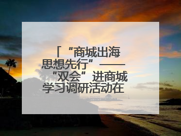 “商城出海 思想先行”——“双会”进商城学习调研活动在临沂顺利开展