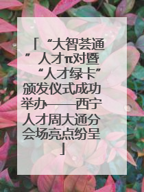 “大智荟通”人才π对暨“人才绿卡”颁发仪式成功举办——西宁人才周大通分会场亮点纷呈
