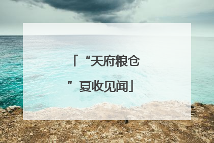 “天府粮仓”夏收见闻