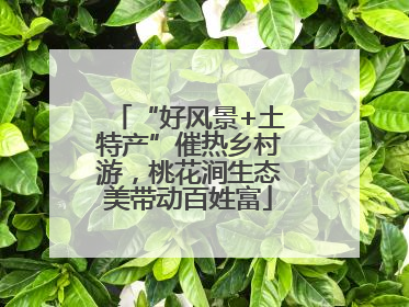 “好风景+土特产”催热乡村游，桃花涧生态美带动百姓富