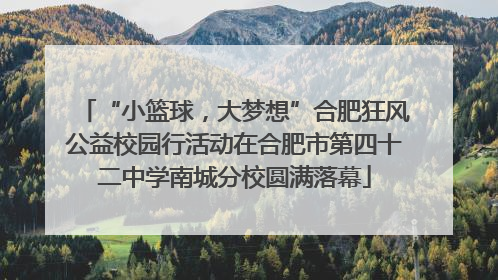 “小篮球，大梦想”合肥狂风公益校园行活动在合肥市第四十二中学南城分校圆满落幕