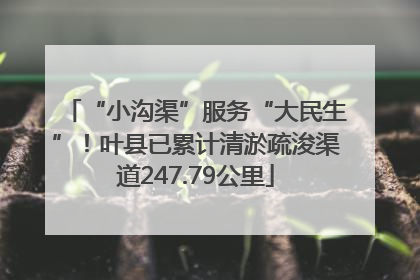 “小沟渠”服务“大民生”！叶县已累计清淤疏浚渠道247.79公里
