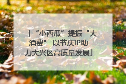 “小西瓜”提振“大消费” 以节庆IP助力大兴区高质量发展