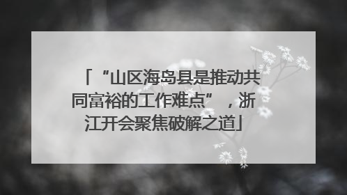 “山区海岛县是推动共同富裕的工作难点”，浙江开会聚焦破解之道