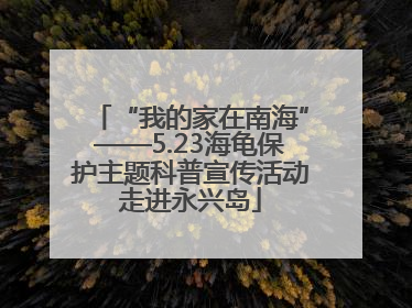 “我的家在南海”——5.23海龟保护主题科普宣传活动走进永兴岛