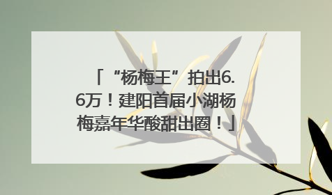“杨梅王”拍出6.6万！建阳首届小湖杨梅嘉年华酸甜出圈！