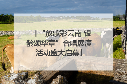 “放歌彩云南 银龄颂华章”合唱展演活动盛大启幕