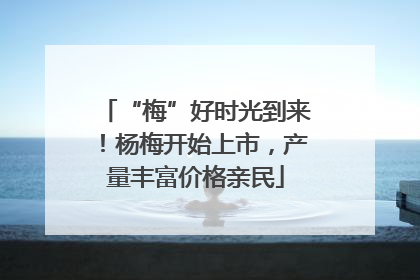 “梅”好时光到来！杨梅开始上市，产量丰富价格亲民