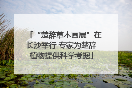 “楚辞草木画展”在长沙举行 专家为楚辞植物提供科学考据