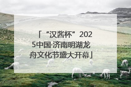 “汉酱杯”2025中国·济南明湖龙舟文化节盛大开幕