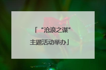 “沧浪之谋”主题活动举办