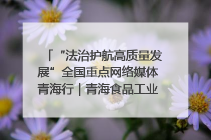 “法治护航高质量发展”全国重点网络媒体青海行｜青海食品工业协会：架起“青字号”美食的产业化桥梁