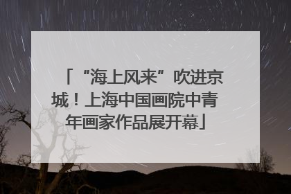 “海上风来”吹进京城！上海中国画院中青年画家作品展开幕