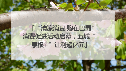 “清凉消夏 购在巴蜀”消费促进活动启幕，五城“票根+”让利超亿元