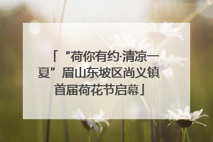 “荷你有约·清凉一夏”眉山东坡区尚义镇首届荷花节启幕