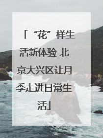 “花”样生活新体验 北京大兴区让月季走进日常生活