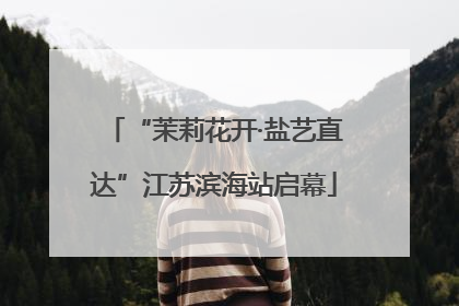 “茉莉花开·盐艺直达”江苏滨海站启幕