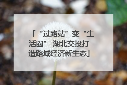 “过路站”变“生活圈” 湖北交投打造路域经济新生态